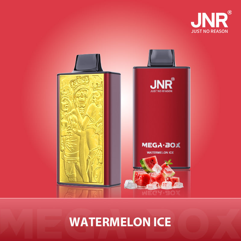 JNR Mega Box 25000 Puffs Disposable Vape - Flavour