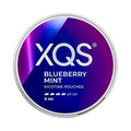 XQS Blueberry Mint Pack of 10